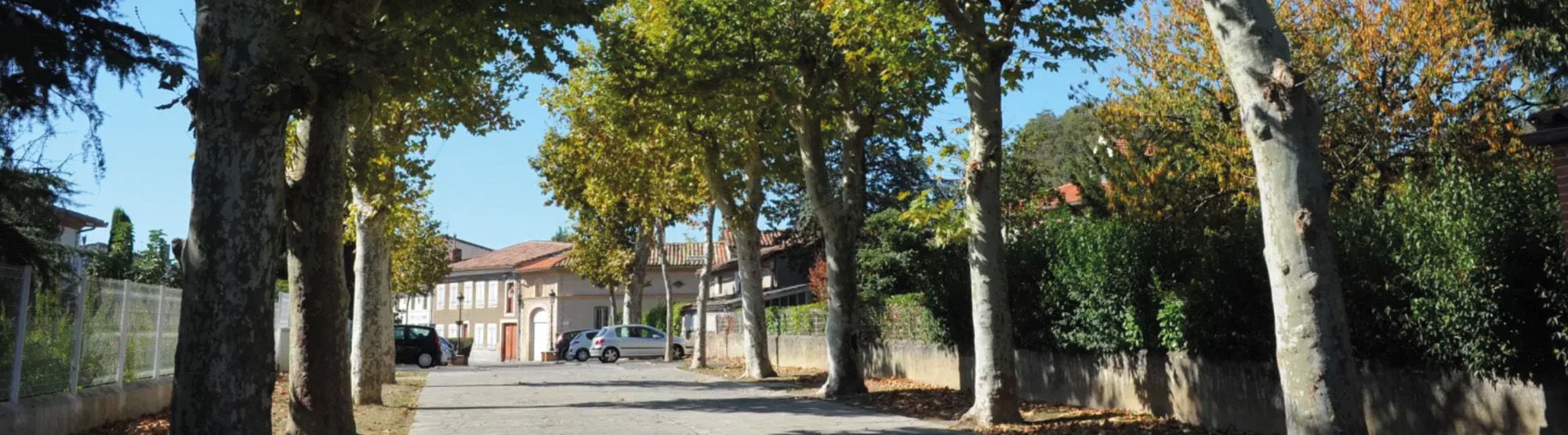 horaires ouverture action beauzelle